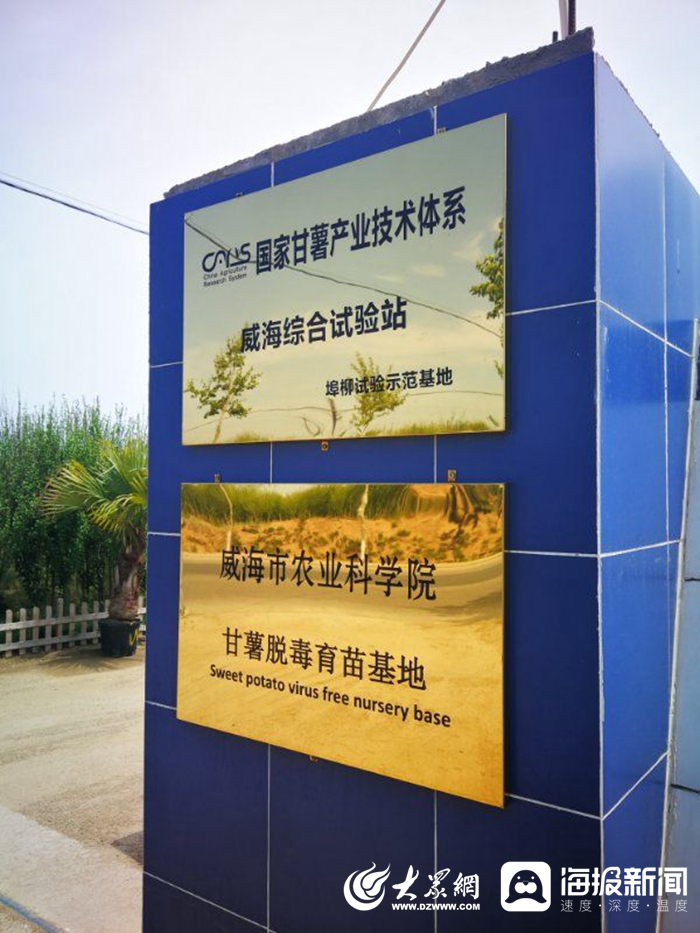 信息化賦能扶貧攻堅，激活鄉村振興新引擎